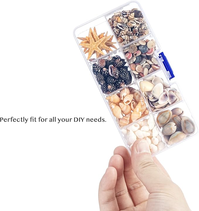 Premium Tiny Seashell Mix, Including Sea Shells, Sea Snails and Starfish Total 300+PCS (8 Kinds), Shells for Crafts Decorating Resin and Mosaics Projects DIY Crafts Home Decor Beach Themed Party