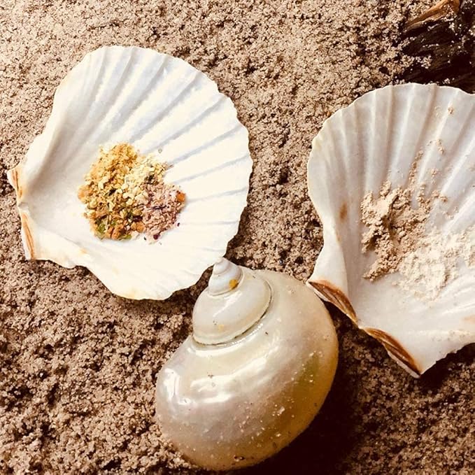 6PCS Scallop Shells for Serving Food,Baking Shells Large Natural White Scallops from Sea Beach for DIY Craft Decor 4-5 Inches