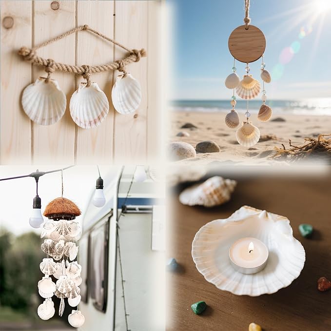 YOUKE OLA 72PCS Scallop Shells for Crafts Large Beach Natural Shells Bulk for Decoupage DIY Crafts Seashell Decorations Home Decor White 4''-4.5''