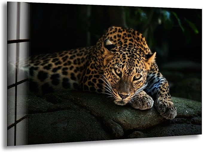 My Photostation.com 20Wx14H'' Fierce Leopard Glass Wall ArtTempered Glass Printing Wall Decor Large Wall Art Wall Hangings