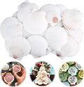 30PCS Scallop Shells for Crafts 2''-3'' Natural White Large Shells Decoration for DIY Craft Painting, Home Decor, Baking and Beach, Wedding Party Decoration