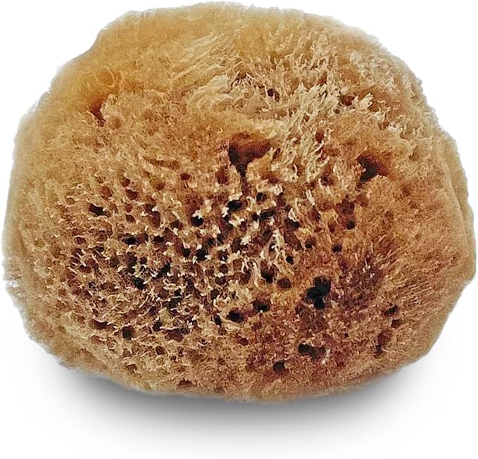 Lullingworth® Artist Natural Sea Sponges: Unbleached 10 Pack 2"-4" Value Set; Creative Art, Faux Painting Effects, Watercolor, Texturing, Marbling, Clay, Pottery, Ceramics, Crafts & Hobbies