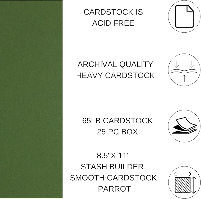 PA Paper Accents Stash Builder Cardstock 8.5" x 11" BParrot, 65lb colored cardstock paper for card making, scrapbooking, printing, quilling and crafts, 25 piece pack