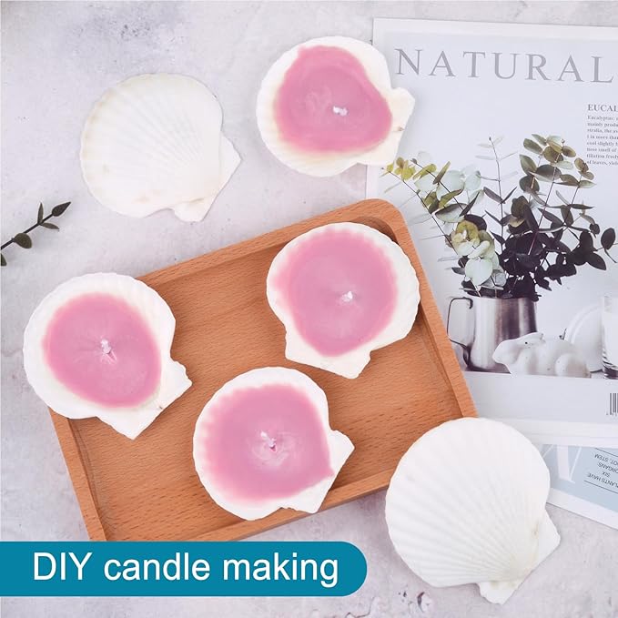 20PCS Natural Scallop Shells for Crafts & Baking - 6 Large (4-5in) & 14 Medium (2-3in) Seashells - DIY Painting, Beach Wedding Decor, Resin Art, Coastal Home Decoration, Party Centerpieces