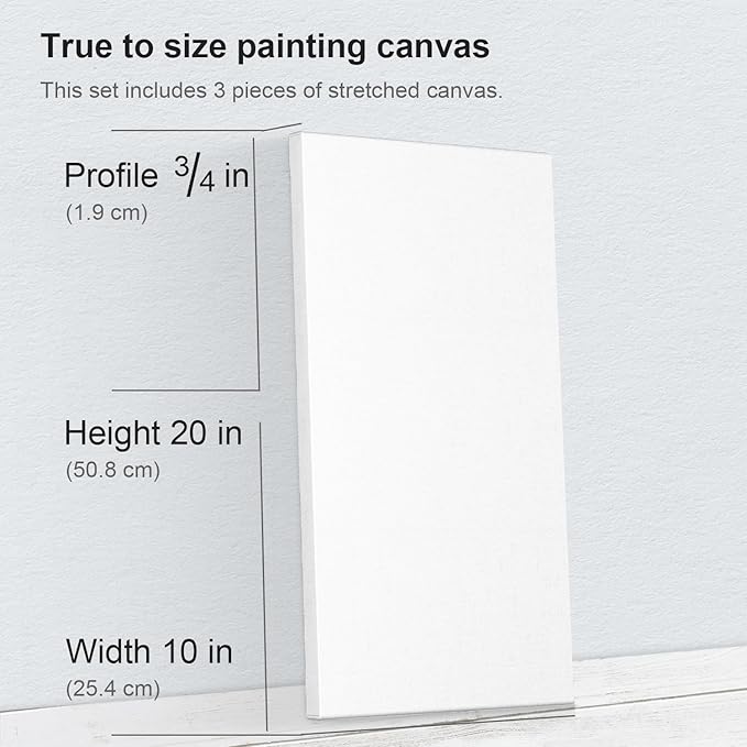 PHOENIX 10x20 Inch 3 Pack Artist Canvas - Long Rectangle Stretched Canvases for Painting - 3/4 Inch Profile, 100% Cotton 11 Oz. Gesso Primed White Blank Professional Canvas Oil & Acrylic Paints