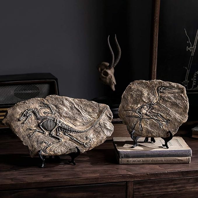 XINDAM Resin Dinosaur Fossil Statue Model Simulated Skeleton Home Office Display Decorative Craft Box Decoration (Style 3)