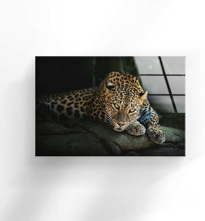 My Photostation.com 35.5Wx30H'' Fierce Leopard Glass Wall ArtTempered Glass Printing Wall Decor Large Wall Art Wall Hangings