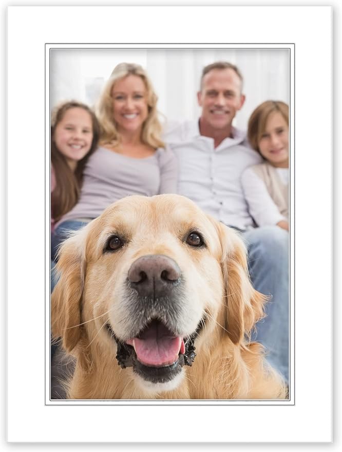 11x14 Mat for 8.5x11 Photo - Precut White on White Double Mat Picture Matboard for Frames Measuring 11 x 14 Inches - Bevel Cut Matte to Display Art Measuring 8.5 x 11 Inches - Acid Free ONE MAT