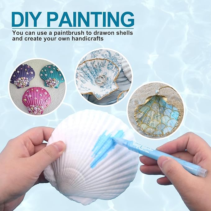 20PCS Natural Scallop Shells for Crafts & Baking - 6 Large (4-5in) & 14 Medium (2-3in) Seashells - DIY Painting, Beach Wedding Decor, Resin Art, Coastal Home Decoration, Party Centerpieces