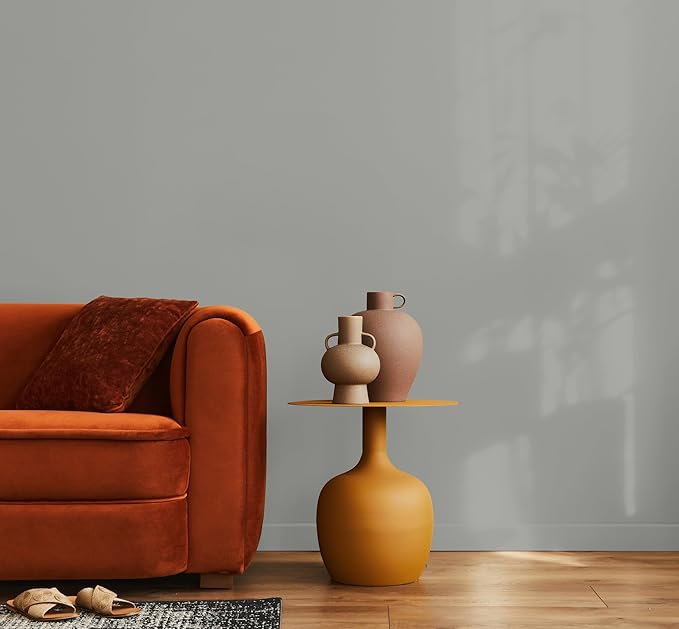 EVOLVE Paint & Primer: Environment-friendly, Low Sheen with One-coat Coverage for Interior & Exterior surfaces (Graphite Gray, 1-Gallon)