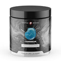 Spartan Epoxies Metallic Pigment Powder for Epoxy - 30 Unique Colors, 4oz for 1 Gallon and 12oz for 3 Gallons of Clear Epoxy, Made in The USA (Caribbean, 4oz (45 Grams))