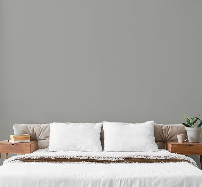 EVOLVE Paint & Primer: Environment-friendly, Low Sheen with One-coat Coverage for Interior & Exterior surfaces (Graphite Gray, 1-Gallon)