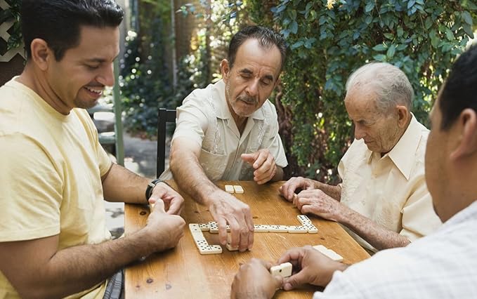 Dominos Set for Adults, Double 6 Domino Game, Double Six Standard Domino with Natural Wooden Box, 28 Tiles,Tradditional Board Game for Adults and Elderly.