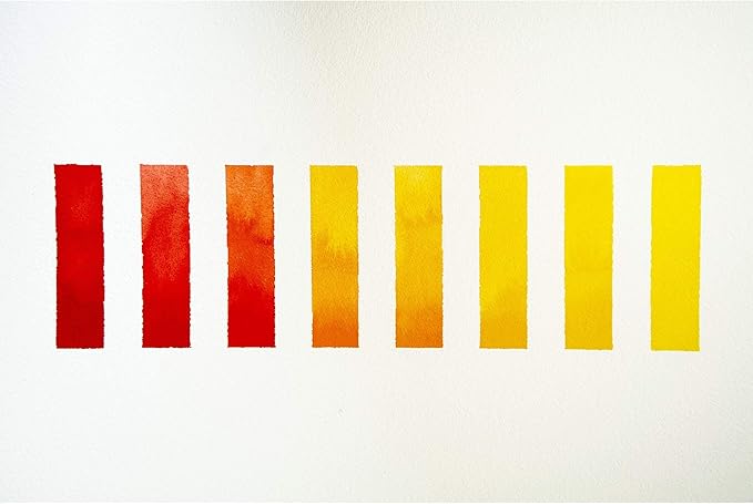 Winsor & Newton Professional Water Colour Paint, 0.47-oz Tube, Cadmium-Free Orange