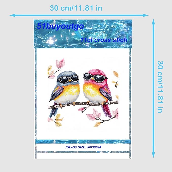 51buyoutgo 11CT Stamped Cross Stitch Kits for Adults - 12x12 in Embroidery Kit with Funny Easy Washable Colorful Birds Pattern, Pre Printed Fabric, Fit for DIY Home Decor, Mom Gifts & Stress Relief