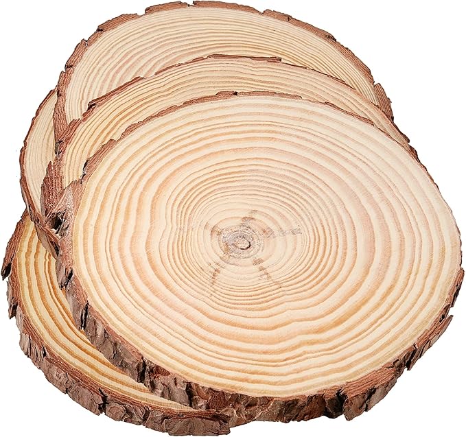 JEUIHAU 10 PCS 5.9-6.3 Inches Natural Unfinished Wood Slices, Round Wooden Tree Bark Discs, Wooden Circles for DIY Crafts, Christmas, Rustic Wedding Ornaments