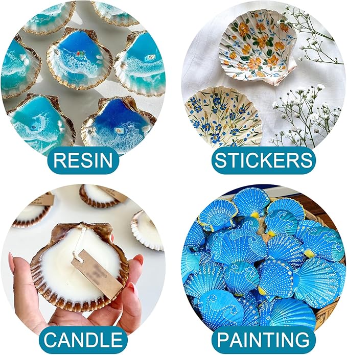 20PCS Natural Scallop Shells for Crafts & Baking - 6 Large (4-5in) & 14 Medium (2-3in) Seashells - DIY Painting, Beach Wedding Decor, Resin Art, Coastal Home Decoration, Party Centerpieces