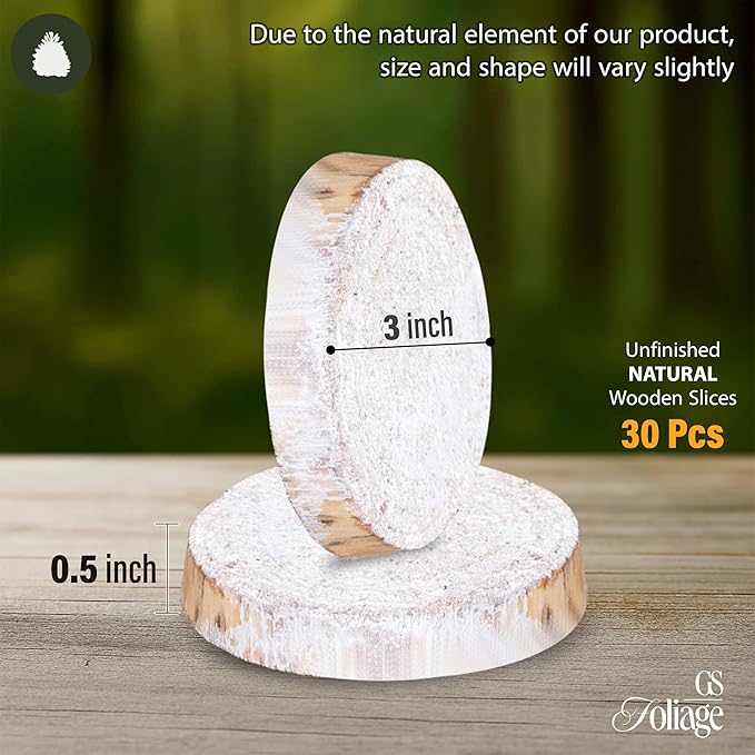 Wood Slices in Mesh Bag for Crafts DIY Projects Rustic Wedding Decorations Ornaments Coasters Tags Home Decor (White Washed)