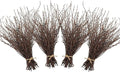Uieke 200PCS Birch Twigs – 17 Inch Natural Dried Plants Decorative Birch Branches for DIY Crafts, Birch Sticks for Vases Wedding Arrangements Home Wreath Decor