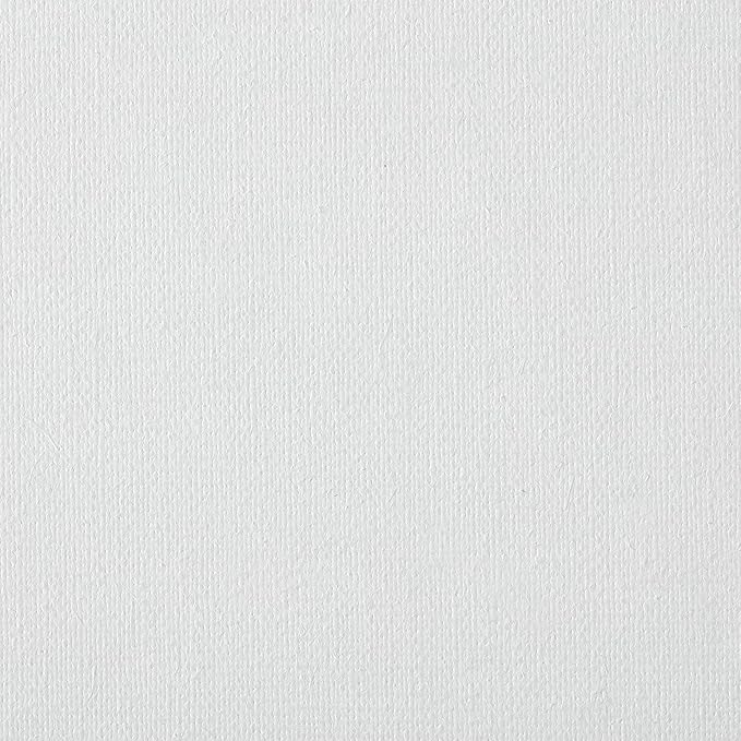 Centurion Deluxe Professional Oil Primed Linen Stretched Canvas, 11oz Linen, 5x7 - Box of 6, 0.67" Deep Canvases, Kiln-Dried Stretchers, Back Stapled, Premium Medium Weight Canvas for Oil Paintings