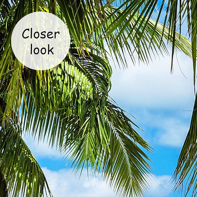 AFZEVEB-Beach Wall Mural Tropical Palm Tree Landscape Wallpaper for Bedroom 114"x74"(Not Peel and Stick)