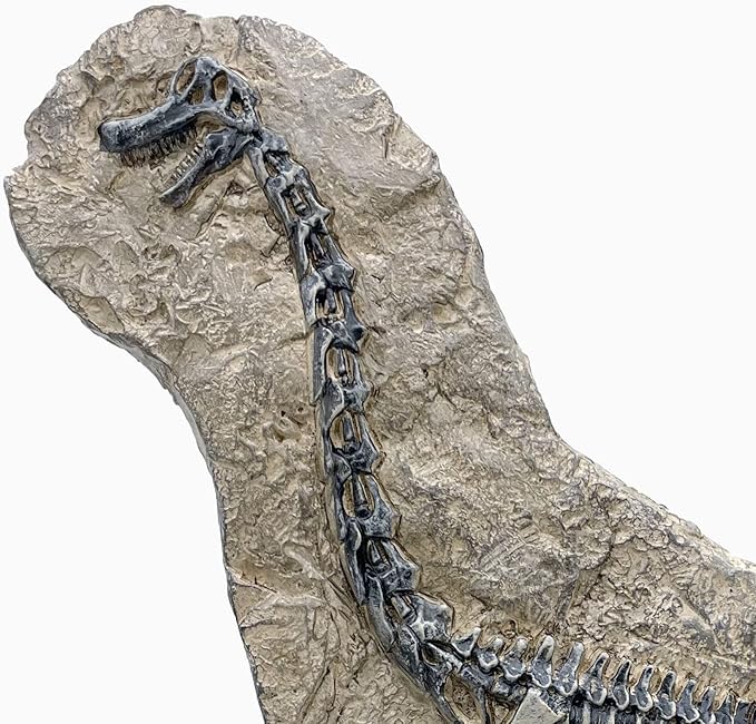 XINDAM Resin Brachiosaurus Dinosaur Fossil Statue Model Simulated Skeleton Home Office Display Decorative Craft Box Decoration (Style 7)