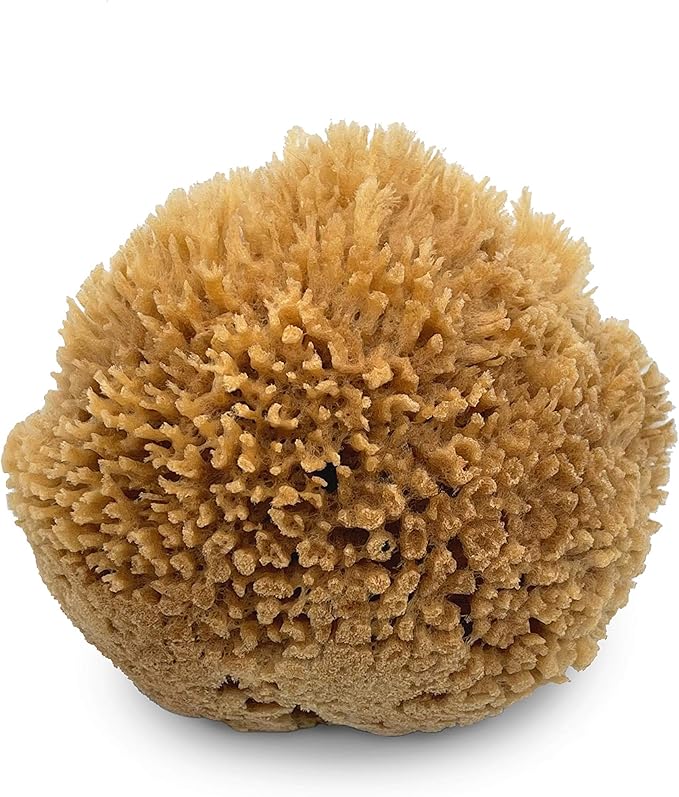 Natural Sea Wool Art Sponge: Premium Professional Grade 5"-6" Unbleached, Excellent for Painting, Decorating, Texturing, Sponging, Marbling Effects, Faux Finishes, Crafts & More by Lullingworth®