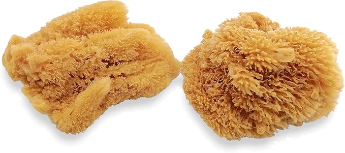 Natural Sea Sponges for Artists - Unbleached 5"-5.5" 2pc Value Pack: Great for Painting Decorating Texturing Sponging Marbling Effects Faux Finishes Crafts & More by Lullingworth®