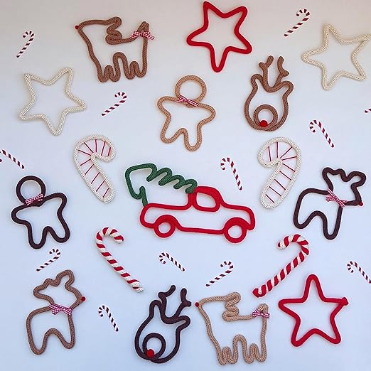 BoFUN Wire Craft Kit for Adults, Teens Christmas DIY Wire Art Crafts Set for Home Gatherings, Birthday Party Group, Holiday Parties, Women Birthday, Mother's Day Gifts, Handmade Home Decor (Christmas)