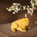Cylinder Molds Silicone Wave Spiral Candle Mold - Silicone Resin Casting Molds for Candle & Resin & Soap Craft Supplies (Toad)