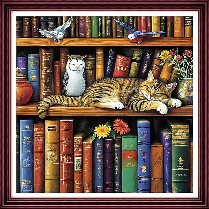 Redxing Stamped Cross Stitch Kits Full Range of Embroidery Starter Kits- Needlepoint Counted Cross Stitch Kits for Beginner Adults 11CT Printed Embroidery Kit-cat Sleeping in on Bookshelf 18x18 inch