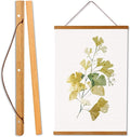 WITCOLOR Magnetic Poster Hanger Frame, Teak Magnet Poster Frames 9x11 9x27 9x12 9x13 Poster Holder for Paintings, Photos, Maps, Scrolls, Picture, Canvas Works and Christmas Prints