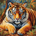51buyoutgo 11CT Stamped Cross Stitch Kits for Adults - 18x18 in Beginner Embroidery Kit with Easy Funny Washable Animal Tiger Pattern, Pre Printed Fabric for DIY Home Decor, Gifts & Stress Relief