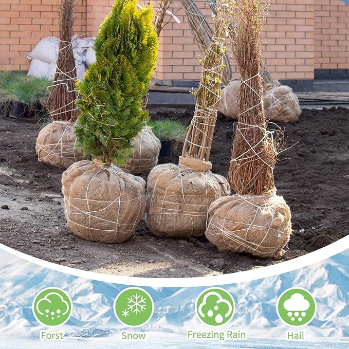 Garden Burlap Roll, 40" x 50 Feet Natural Jute Burlap Fabric Roll for Gardening Raised Bed Liners,Seed Cover,Edging,Weed Barrier,Aisle Runner Plant Cover Tree Protections (40" x 50 Feet)
