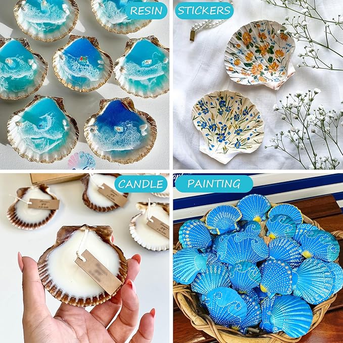 30PCS Scallop Shells for Crafts 2''-3'' Natural White Large Shells Decoration for DIY Craft Painting, Home Decor, Baking and Beach, Wedding Party Decoration
