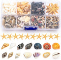 Premium Tiny Seashell Mix, Including Sea Shells, Sea Snails and Starfish Total 300+PCS (8 Kinds), Shells for Crafts Decorating Resin and Mosaics Projects DIY Crafts Home Decor Beach Themed Party