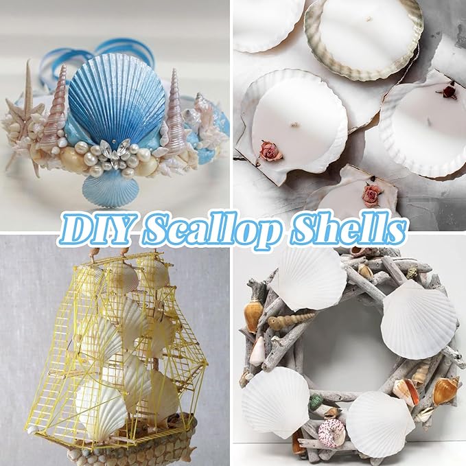 LUCKY BABY 16pcs Scallop Shells White Natural Sea Shells for Crafts 2.7-3.5 Inches Seashells for DIY Crafting Beach Wedding Home Decoration Baking (Pack of 2)