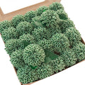 Floroom Artificial Dahlia Flowers 25pcs Real Looking Elf Green Foam Fake Roses with Stems for DIY Wedding Bouquets Bridal Shower Centerpieces Floral Arrangements Party Tables Home Decoration