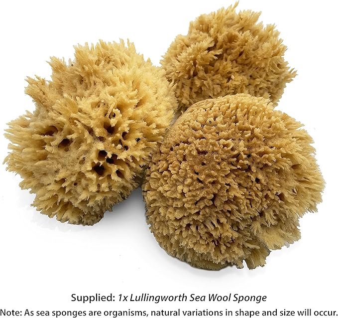 Natural Sea Wool Art Sponge: Premium Professional Grade 5"-6" Unbleached, Excellent for Painting, Decorating, Texturing, Sponging, Marbling Effects, Faux Finishes, Crafts & More by Lullingworth®