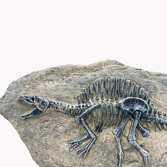 XINDAM Resin Spinosaurus Dinosaur Fossil Statue Model Simulated Skeleton Home Office Display Decorative Craft Box Decoration (Style 8)