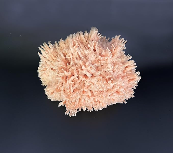 Natural Sea Wool Art Sponge: Premium Professional Grade 5"-6" Unbleached, Excellent for Painting, Decorating, Texturing, Sponging, Marbling Effects, Faux Finishes, Crafts & More by Lullingworth®