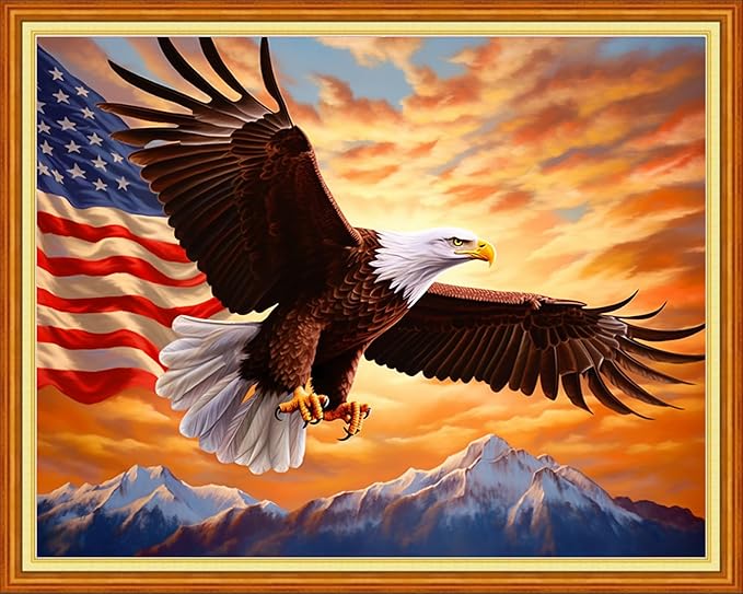 Joyhoor Cross Stitch Kits for Beginners Stamped Cross-Stitch Supplies Needlework preprint Embroidery Kits for Adults DIY Needlepoint Kits Embroidery Patterns 11CT-Flag Eagle 16x20 inchs