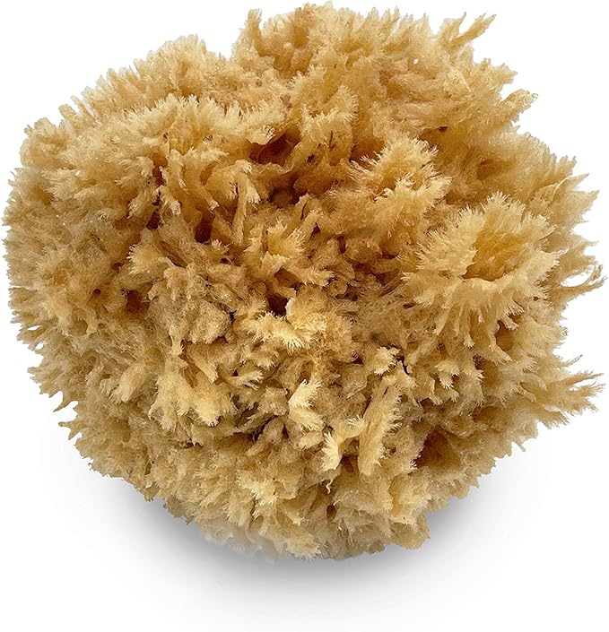 Natural Sea Wool Art Sponge: Premium Professional Grade 5"-6" Unbleached, Excellent for Painting, Decorating, Texturing, Sponging, Marbling Effects, Faux Finishes, Crafts & More by Lullingworth®