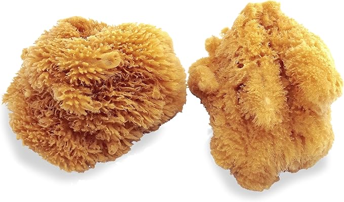 Natural Sea Sponges for Artists - Unbleached 5"-5.5" 2pc Value Pack: Great for Painting Decorating Texturing Sponging Marbling Effects Faux Finishes Crafts & More by Lullingworth®