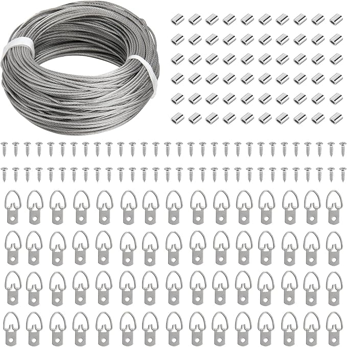 Blisstime Picture Hanging Kit - 100 Feet Braided Hanging Wire, 60 Pcs D Ring Picture Hangers with Screws and 60 Pcs Aluminum Crimping Loop Sleeve for Canvas Paintings, Photo Frames