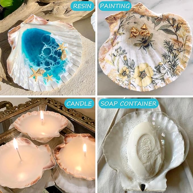6PCS Scallop Shells for Crafts 4''-5'' Natural White Large Shells Decoration for DIY Craft Painting, Home Decor, Baking and Beach, Wedding Party Decoration