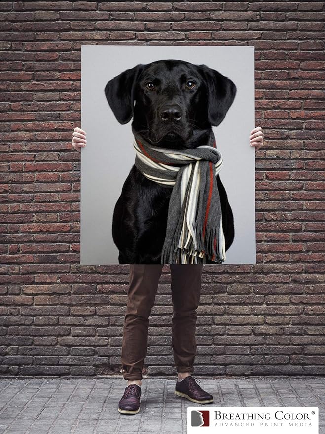 Premium Lyve Matte Canvas Paper Perfect For Use on Professional Makes and Models of Epson, Canon and HP printers preferred by Professionals. 19 mil textured Canvas offered in a 50 inch by 40 ft roll
