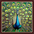 Dimensean Stamped Cross Stitch Kits Full Range of Embroidery Patterns Starter Kits for Beginners Adult or Kids DIY Cross Stitches Needlepoint Kits 11CT-Blue Peacock 18x18 inch
