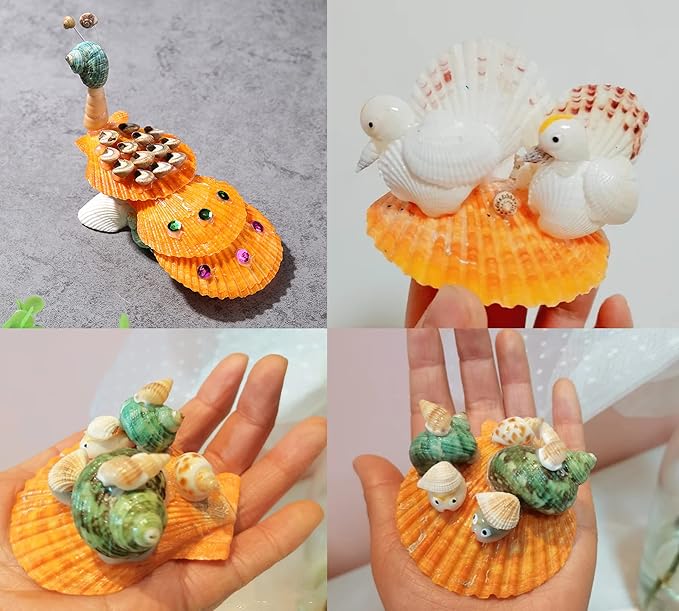 Colorful 50+ Pcs Scallop Shell Natural Mixed Color Seashells for Fish Tank Home Decorations Beach Theme Party Candle Making Wedding Decor DIY Crafts Vase Fillers