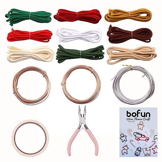 BoFUN Wire Craft Kit for Adults, Teens Christmas DIY Wire Art Crafts Set for Home Gatherings, Birthday Party Group, Holiday Parties, Women Birthday, Mother's Day Gifts, Handmade Home Decor (Christmas)
